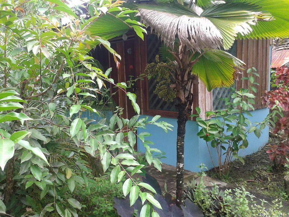 Hotel Puerto Viejo Puerto Viejo de Talamanca Екстер'єр фото