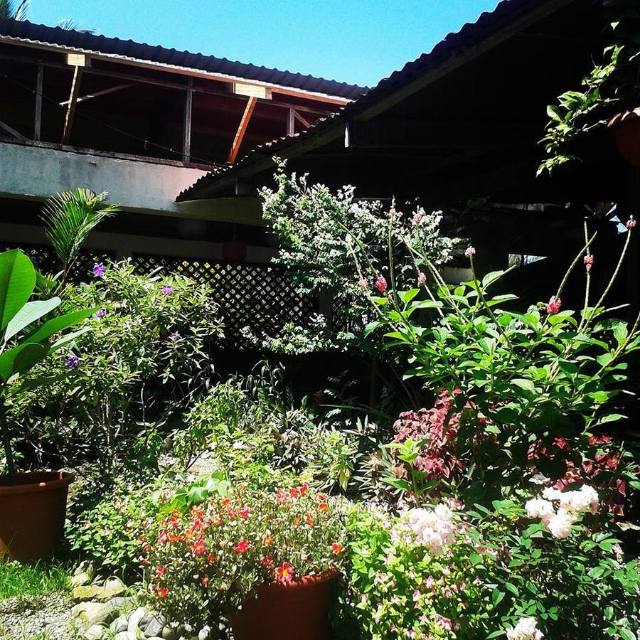 Hotel Puerto Viejo Puerto Viejo de Talamanca Екстер'єр фото